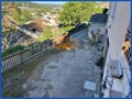 Photo numero 48350307 du bien UBI481448243